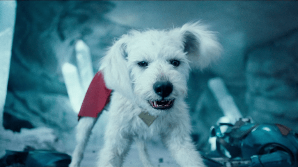 Still of the 2025 Superman movie featuring a white-furred dog growling, the dog as a golden S pendant, and a red cape. The background his all ice.